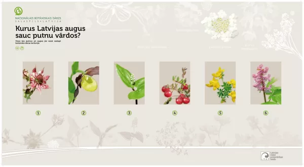 / Kurus Latvijas augus sauc putnu vārdos / stenda izmēri 1,2 x 0,65m
