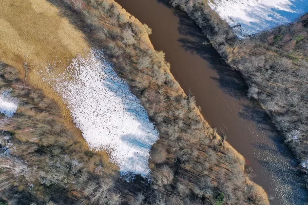 Gauja pie Palšiem / Smiltenes novads