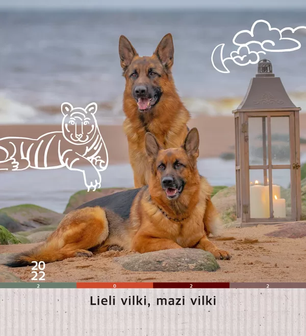 Lieli vilki, mazi vilki / kalendārs 2022